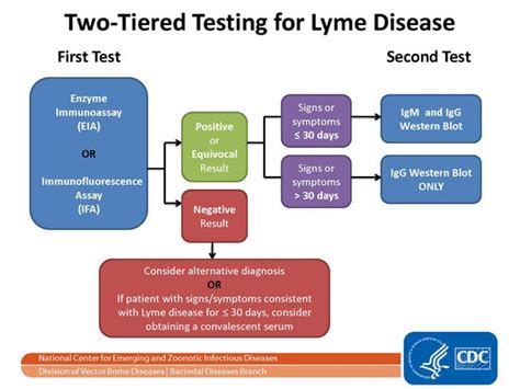 lyme disease laboratory testing